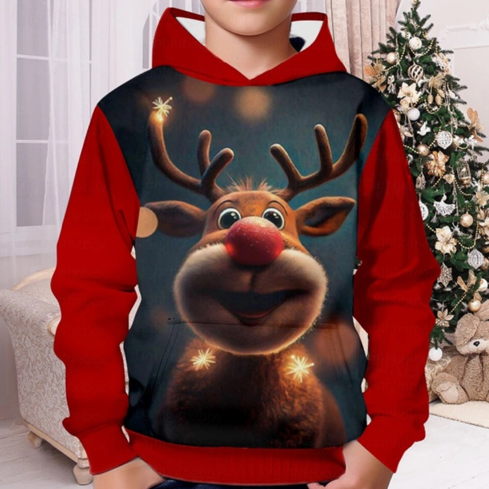 MODESTO - Sweat à Capuche de Noël pour Hommes