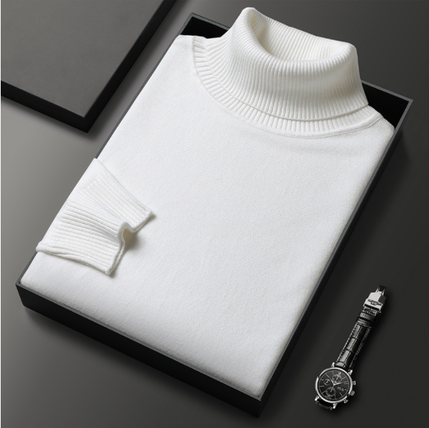 Pull Homme Col Roulé Décontracté Printemps
