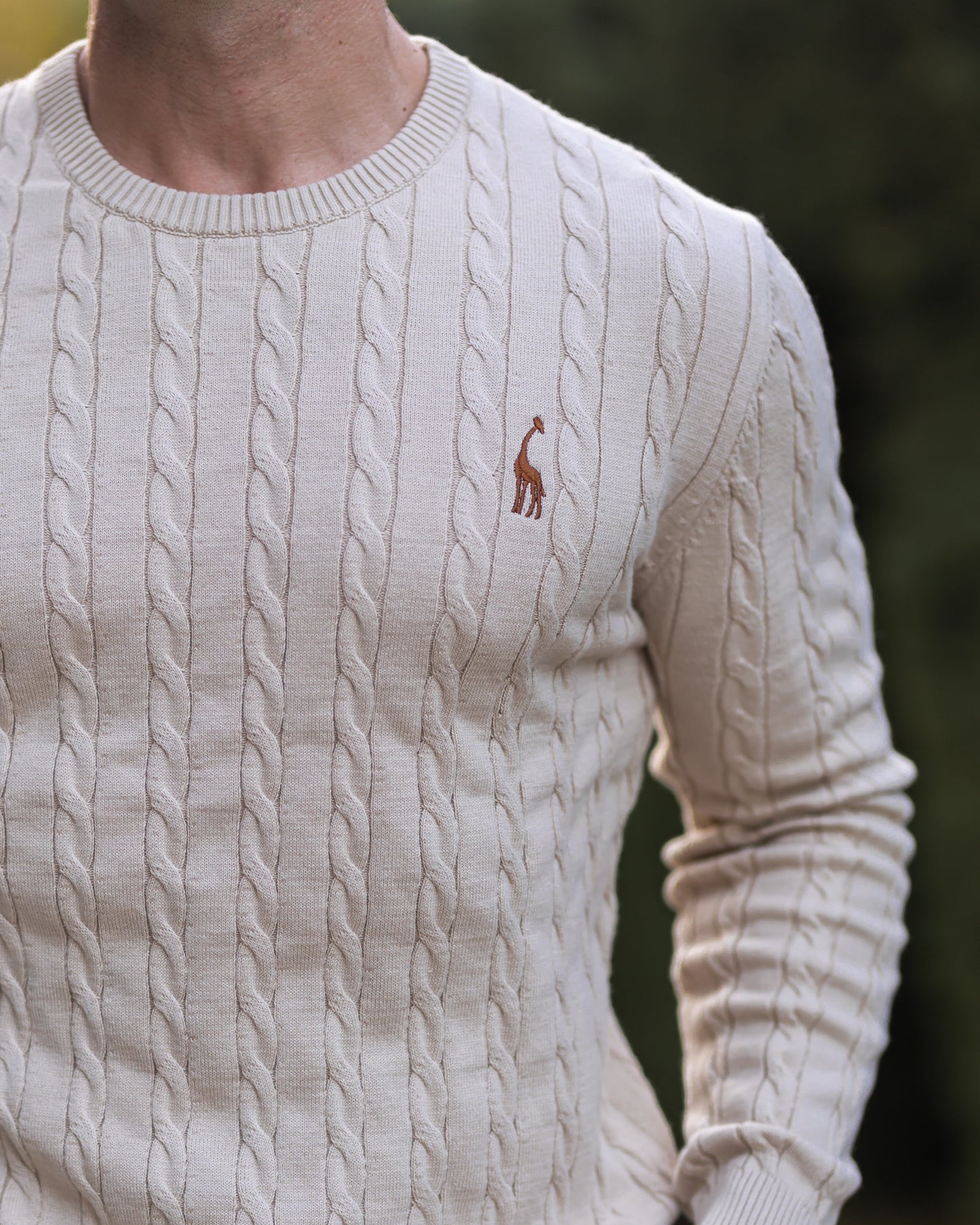 Pull en Coton à Câble pour Homme