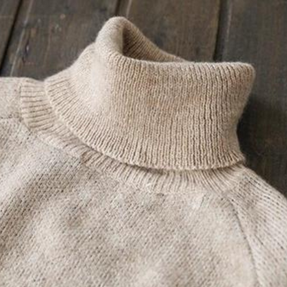 Pull Col Montant - vue 7