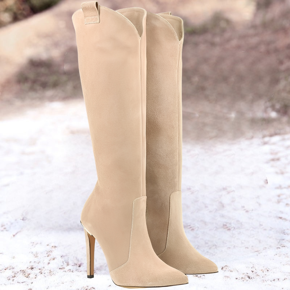 Bottes Femme Hauts Talons Chaude et Confortable pour Hiver - PanierRoyale