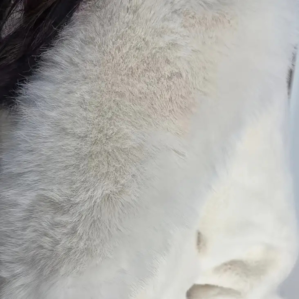 MAELANI - Manteau d'Hiver Elégant pour Femmes