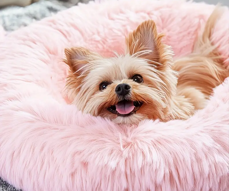 Lit pour Animaux Doux et Confortable