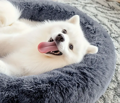Lit pour Animaux Doux et Confortable
