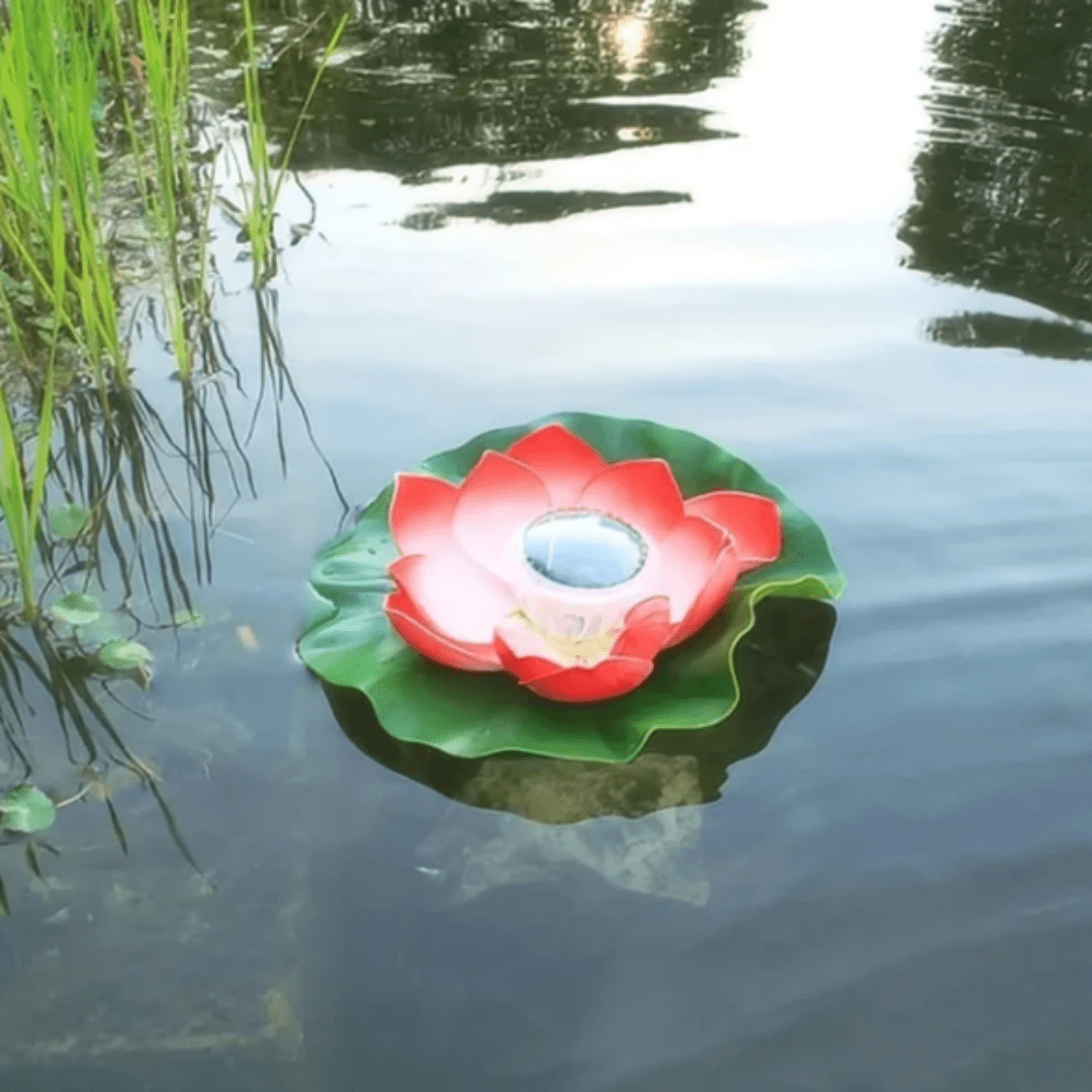 Fontaine Solaire Décorative pour Jardin