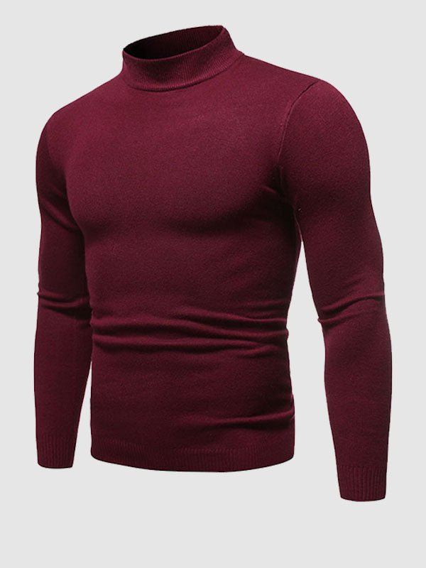 Pull Homme Slim Fit Col Roulé pour Printemps