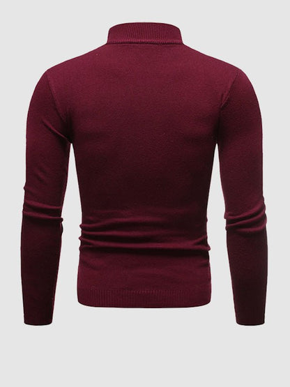 Pull Homme Slim Fit Col Roulé pour Printemps