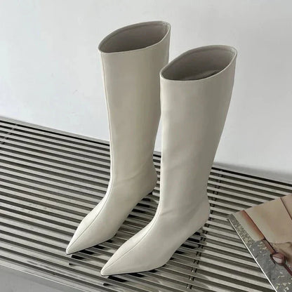 Bottes Hauts Talons Élégantes Hiver