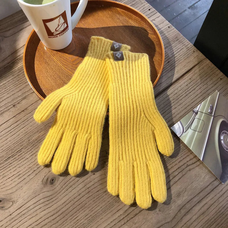 Gants d'hiver chauds et imperméables