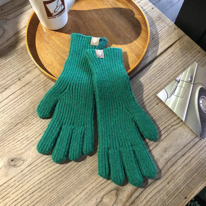 Gants d'hiver chauds et imperméables