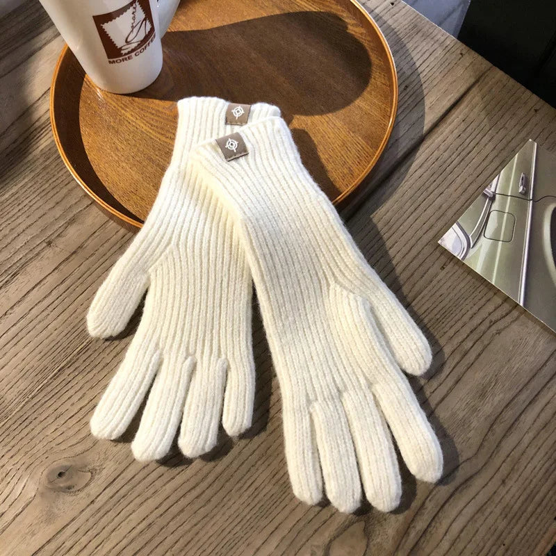 Gants d'hiver chauds et imperméables