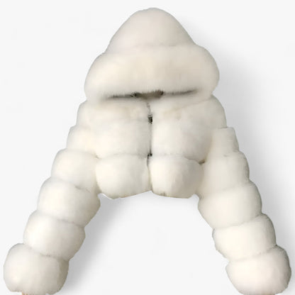 Manteau Parka Capuche Longues Manches Imperméable