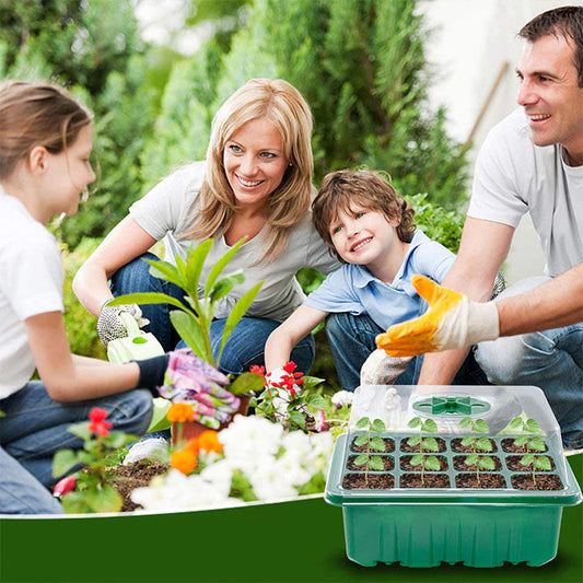 Serre de Jardin Moderne et Économe en Énergie - PanierRoyale